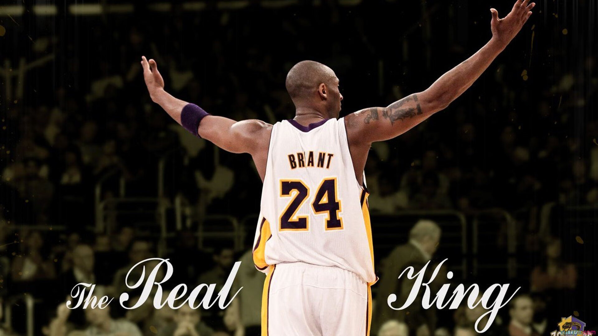 开云体育app官网-从街头球场到国家队的奋斗故事，街头球员